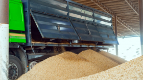 22 сентября в госфонд РФ закупили 31,05 тысячи тонн зерна